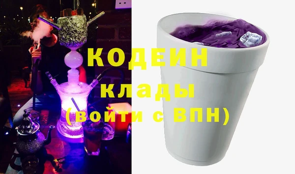 индика Лабытнанги