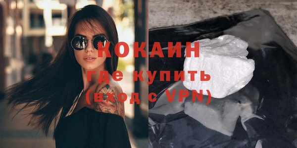 бошки Ладушкин