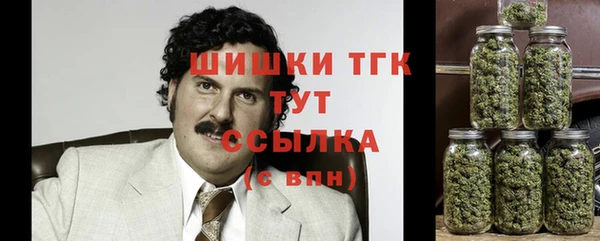 бошки Ладушкин