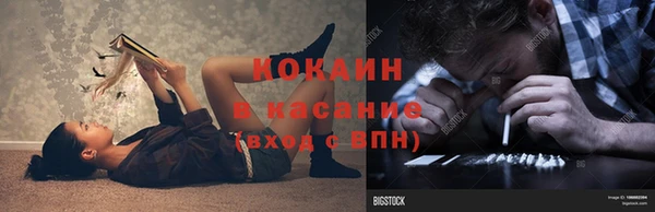 бошки Ладушкин
