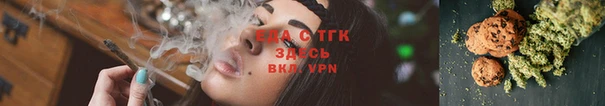 индика Лабытнанги