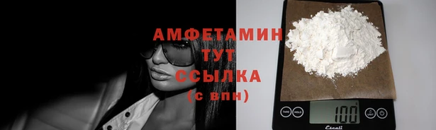 индика Лабытнанги