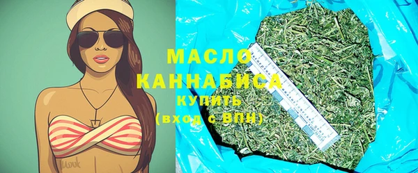 индика Лабытнанги