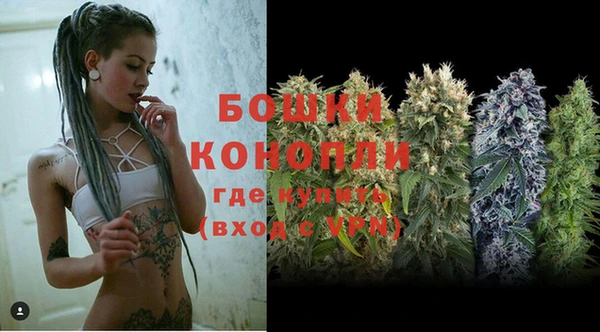 индика Лабытнанги