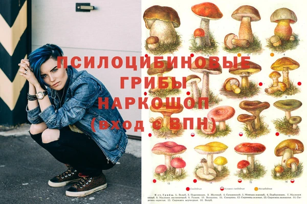 бошки Ладушкин