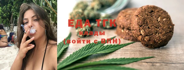 индика Лабытнанги