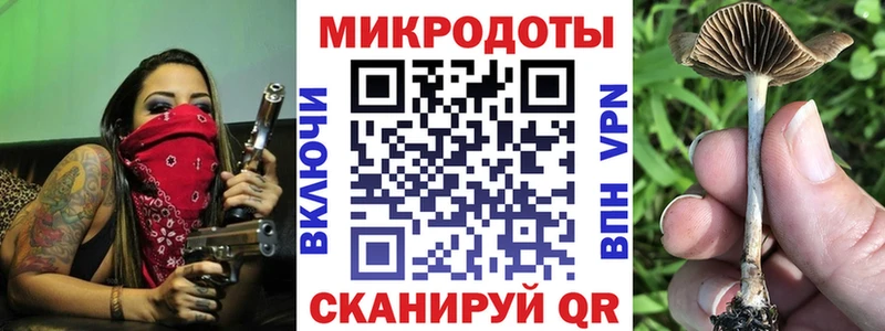 Купить  Киреевск  Галлюциногенные грибы Psilocybine cubensis 